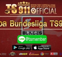 บอล Bundesliga TS911